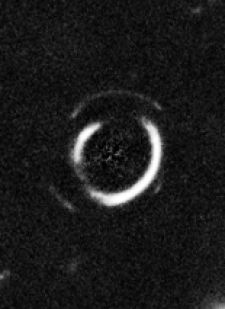 SDSSJ0946+1006의 확대사진. Credit: NASA